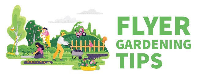 June Gardening Tips for Hertford, Essex, and Suffolk | Flyer Magazines