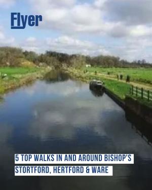 5 Top Walks in and Around Bishop's Stortford, Hertford & Ware